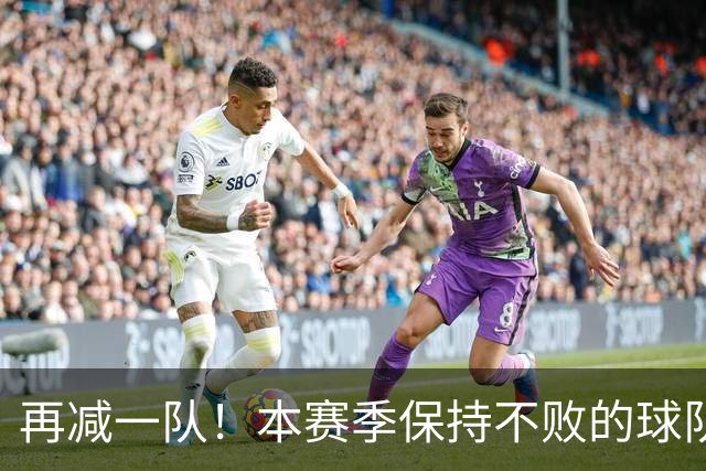 再减一队！本赛季保持不败的球队仅剩3支：火箭、灰熊、开拓者