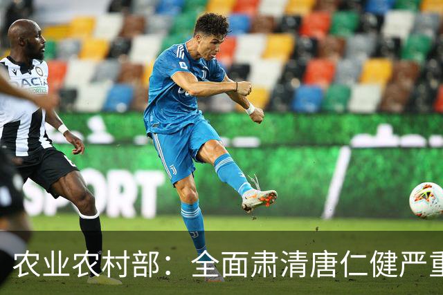 农业农村部：全面肃清唐仁健严重违纪违法案件负面影响，深入推进风腐同查同治