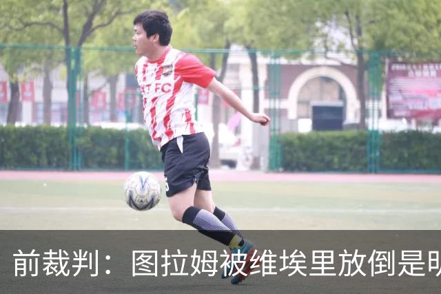 前裁判：图拉姆被维埃里放倒是明显点球，马里亚尼4分表现