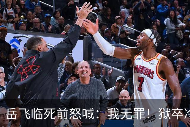岳飞临死前怒喊：我无罪！狱卒冷冷回应6字，令岳飞无言以对！