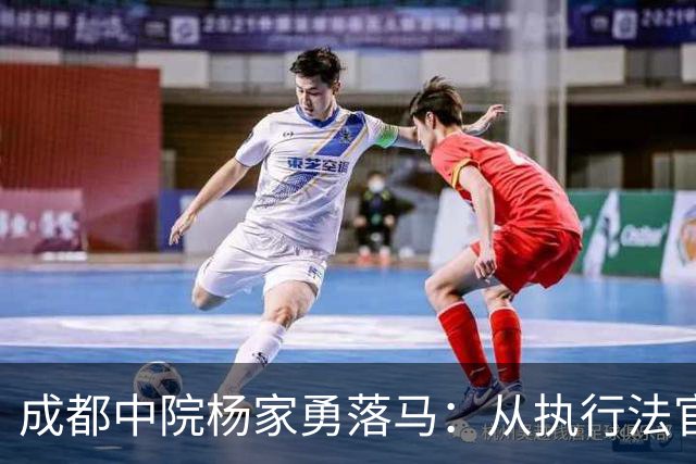 成都中院杨家勇落马：从执行法官到“后勤大管家”的迷失之路