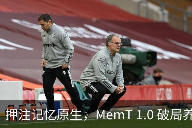 押注记忆原生，MemT 1.0 破局养成系 AI 下半场