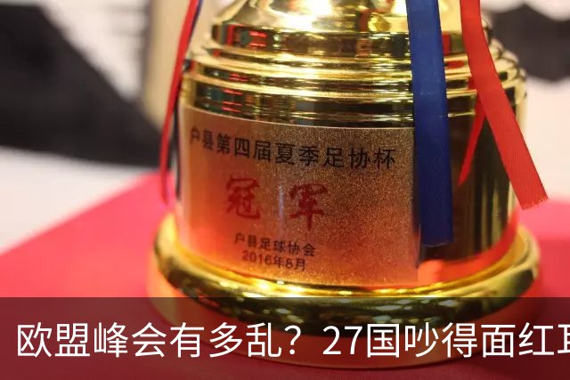 欧盟峰会有多乱？27国吵得面红耳赤，冯德莱恩：别让中国看笑话