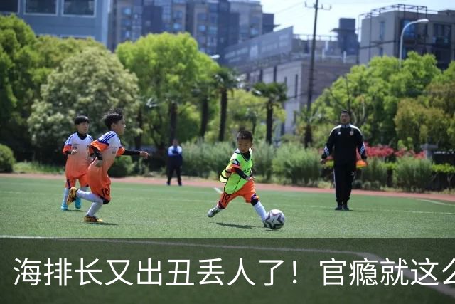 海排长又出丑丢人了！官瘾就这么大？就那么急不可耐？出事了吧！