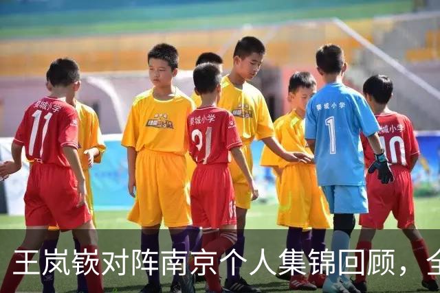 王岚嵚对阵南京个人集锦回顾，全场得到27分6篮板2助攻