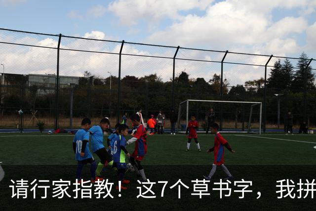 请行家指教！这7个草书字，我拼尽全力也只认出3个！能全认出的，肚子里是真有墨水。练草书到底应该先抓字法，还是先练笔力？