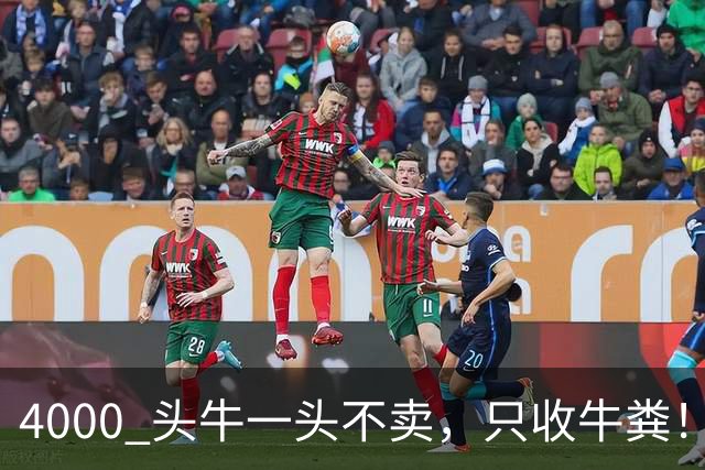 4000 头牛一头不卖，只收牛粪！广西汉靠 “屎” 逆袭，狂赚上亿身家